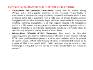 TYPES OF MEMBRANES USED IN WESTERN BLOTTING:
– Nitrocellulose and Supported Nitrocellulose: Mostly used for western blotting
(Protein) and is still a popular membrane for this procedure. Protein binding to
nitrocellulose is instantaneous, nearly irreversible. Nitrocellulose is easily wetted in water
or transfer buffer and is compatible with a wide range of protein detection systems.
Unsupported nitrocellulose is innately fragile and is not recommended for stripping and
reprobing. Supported nitrocellulose is an inert support structure with nitrocellulose
applied to it. The support structure gives the membrane increased strength and resilience.
Supported nitrocellulose can withstand reprobing and autoclaving (121°C) and retains the
ease of wetting and protein binding features of nitrocellulose.
– Polyvinylidene Difluoride (PVDF) Membranes: ideal support for N-terminal
sequencing, amino acid analysis, and immunoassay of blotted proteins (western blotting).
PVDF retains proteins during exposure to acidic or basic conditions and in the presence
of organic solvents. Exhibit better binding efficiency of electroblotted material in the
presence of SDS in the transfer buffer. PVDF membranes must be wetted in 100%
methanol prior to use, but once wet may be used with a transfer buffer that contains no
methanol.
 