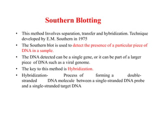 Southern Blotting
• This method Involves separation, transfer and hybridization. Technique
developed by E.M. Southern in 1975
• The Southern blot is used to detect the presence of a particular piece of
DNA in a sample.
• The DNA detected can be a single gene, or it can be part of a larger
piece of DNA such as a viral genome.
• The key to this method is Hybridization.
• Hybridization- Process of forming a double-
stranded DNA molecule between a single-stranded DNA probe
and a single-stranded target DNA
 