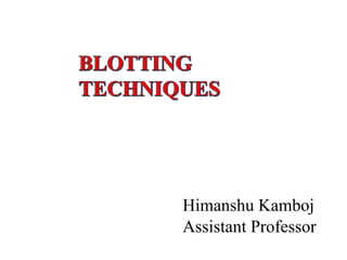 Blotting techniques himanshu Slide 1