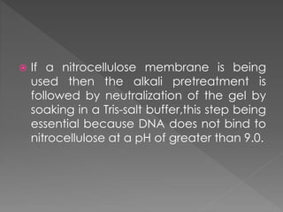  If a nitrocellulose membrane is being 
used then the alkali pretreatment is 
followed by neutralization of the gel by 
soaking in a Tris-salt buffer,this step being 
essential because DNA does not bind to 
nitrocellulose at a pH of greater than 9.0. 
 