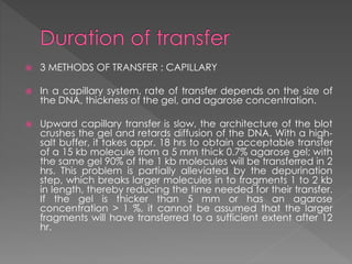  3 METHODS OF TRANSFER : CAPILLARY 
 In a capillary system, rate of transfer depends on the size of 
the DNA, thickness of the gel, and agarose concentration. 
 Upward capillary transfer is slow, the architecture of the blot 
crushes the gel and retards diffusion of the DNA. With a high-salt 
buffer, it takes appr. 18 hrs to obtain acceptable transfer 
of a 15 kb molecule from a 5 mm thick 0.7% agarose gel; with 
the same gel 90% of the 1 kb molecules will be transferred in 2 
hrs. This problem is partially alleviated by the depurination 
step, which breaks larger molecules in to fragments 1 to 2 kb 
in length, thereby reducing the time needed for their transfer. 
If the gel is thicker than 5 mm or has an agarose 
concentration > 1 %, it cannot be assumed that the larger 
fragments will have transferred to a sufficient extent after 12 
hr. 
 