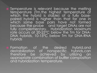  Temperature is relevant because the melting 
temperature (Tm,the highest temperature at 
which the hybrid is stable) of a fully base-paired 
hybrid is higher than that for one in 
which some base pairs have not formed 
because the probe and target DNAs are not 
fully complementary. Hybridization Maximum 
rate occurs at 20-25°C below the Tm for DNA-DNA 
hybrids, 10-15°C below Tm for DNA-RNA 
hybrids 
 Formation of the desired hybrid,and 
destabilization of nonspecific hybrids,can 
therefore be achieved by utilizing an 
appropriate combination of buffer composition 
and hybridization temperature. 
 