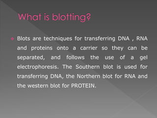  Blots are techniques for transferring DNA , RNA 
and proteins onto a carrier so they can be 
separated, and follows the use of a gel 
electrophoresis. The Southern blot is used for 
transferring DNA, the Northern blot for RNA and 
the western blot for PROTEIN. 
 