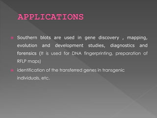  Southern blots are used in gene discovery , mapping, 
evolution and development studies, diagnostics and 
forensics (It is used for DNA fingerprinting, preparation of 
RFLP maps) 
 identification of the transferred genes in transgenic 
individuals, etc. 
 