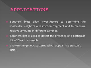  Southern blots allow investigators to determine the 
molecular weight of a restriction fragment and to measure 
relative amounts in different samples. 
 Southern blot is used to detect the presence of a particular 
bit of DNA in a sample 
 analyze the genetic patterns which appear in a person's 
DNA. 
 