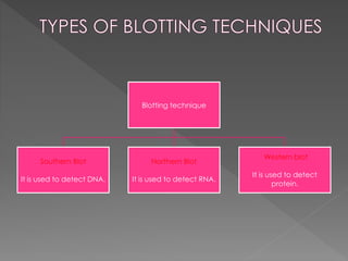 Blotting technique 
Southern Blot 
It is used to detect DNA. 
Northern Blot 
It is used to detect RNA. 
Western blot 
It is used to detect 
protein. 
 