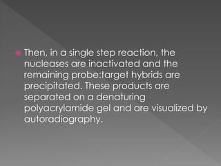  Then, in a single step reaction, the 
nucleases are inactivated and the 
remaining probe:target hybrids are 
precipitated. These products are 
separated on a denaturing 
polyacrylamide gel and are visualized by 
autoradiography. 
 