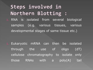 1. RNA is isolated from several biological 
samples (e.g. various tissues, various 
developmental stages of same tissue etc.) 
1. Eukaryotic mRNA can then be isolated 
through the use of oligo (dT) 
cellulose chromatography to isolate only 
those RNAs with a poly(A) tail 
 