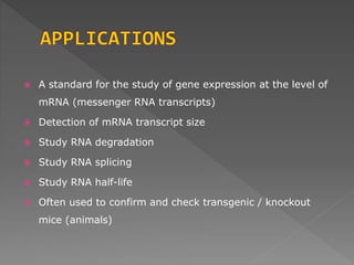  A standard for the study of gene expression at the level of 
mRNA (messenger RNA transcripts) 
 Detection of mRNA transcript size 
 Study RNA degradation 
 Study RNA splicing 
 Study RNA half-life 
 Often used to confirm and check transgenic / knockout 
mice (animals) 
 
