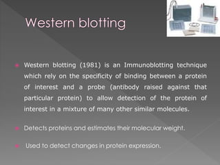  Western blotting (1981) is an Immunoblotting technique 
which rely on the specificity of binding between a protein 
of interest and a probe (antibody raised against that 
particular protein) to allow detection of the protein of 
interest in a mixture of many other similar molecules. 
 Detects proteins and estimates their molecular weight. 
 Used to detect changes in protein expression. 
 