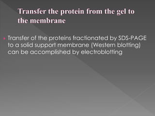 Transfer of the proteins fractionated by SDS-PAGE 
to a solid support membrane (Western blotting) 
can be accomplished by electroblotting 
 
