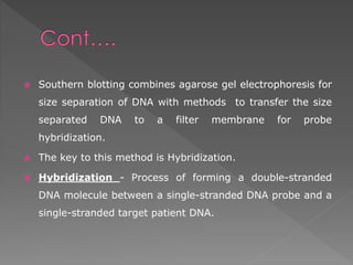  Southern blotting combines agarose gel electrophoresis for 
size separation of DNA with methods to transfer the size 
separated DNA to a filter membrane for probe 
hybridization. 
 The key to this method is Hybridization. 
 Hybridization - Process of forming a double-stranded 
DNA molecule between a single-stranded DNA probe and a 
single-stranded target patient DNA. 
 