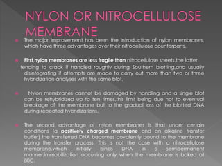  The major improvement has been the introduction of nylon membranes, 
which have three advantages over their nitrocellulose counterparts. 
 First,nylon membranes are less fragile than nitrocellulose sheets,the latter 
tending to crack if handled roughly during Southern blotting,and usually 
disintegrating if attempts are made to carry out more than two or three 
hybridization analyses with the same blot. 
 Nylon membranes cannot be damaged by handling and a single blot 
can be rehybridized up to ten times,this limit being due not to eventual 
breakage of the membrane but to the gradual loss of the blotted DNA 
during repeated hybridizations. 
 The second advantage of nylon membranes is that under certain 
conditions (a positively charged membrane and an alkaline transfer 
buffer) the transferred DNA becomes covalently bound to the membrane 
during the transfer process. This is not the case with a nitrocellulose 
membrane,which initially binds DNA in a semipermanent 
manner,immobilization occurring only when the membrane is baked at 
80C. 
 