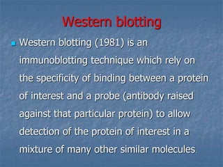 Western blotting
 Western blotting (1981) is an
immunoblotting technique which rely on
the specificity of binding between a protein
of interest and a probe (antibody raised
against that particular protein) to allow
detection of the protein of interest in a
mixture of many other similar molecules.
 