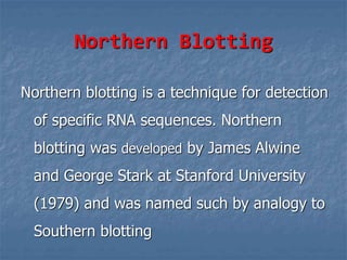Northern Blotting
Northern blotting is a technique for detection
of specific RNA sequences. Northern
blotting was developed by James Alwine
and George Stark at Stanford University
(1979) and was named such by analogy to
Southern blotting
 
