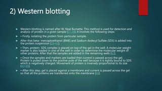 2) Western blotting
 Western blotting is named after W. Neal Burnette. This method is used for detection and
analysis of protein in a given sample [37,38]. It involves the following steps:
 • Firstly, isolating the protein from particular sample.
 After that beta- mercaptoethanol (BME) and Sodium dodecyl Sulfate (SDS) is added into
the protein suspension [39-41].
 • Then, protein- SDS complex is placed on top of the gel in the well. A molecular weight
marker is also loaded in one of the well in order to determine the molecular weight of
other proteins. After that the samples are added in the remaining wells [42].
 • Once the samples and markers are loaded then current is passed across the gel.
Protein is pulled down to the positive pole of the well because it is tightly bound to SDS
which is negatively charged. Movement of protein is inversely proportional to its size
[43-45].
 • After this step, gel is placed against a membrane and current is passed across the gel
so that all the proteins are transferred onto the membrane [46].
 