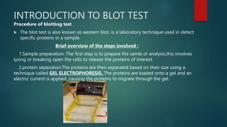 INTRODUCTION TO BLOT TEST
Procedure of blotting test
 The blot test is also known as western blot, is a laboratory technique used in detect
specific proteins in a sample.
Brief overview of the steps involved :
1.Sample preparation: The first step is to prepare the samle or analysis,this involves
lysing or breaking open the cells to release the proteins of interest.
2.protein separation:The proteins are then separated based on their size using a
technique called GEL ELECTROPHORESIS. The proteins are loaded onto a gel and an
electric current is applied ,causing the proteins to migrate through the gel.
 