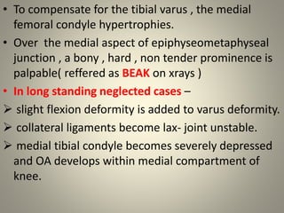 • To compensate for the tibial varus , the medial
femoral condyle hypertrophies.
• Over the medial aspect of epiphyseometa...