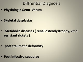 Diffrential Diagnosis
• Physiologic Genu Varum
• Skeletal dysplasias
• Metabolic diseases ( renal osteodystrophy, vit d
re...