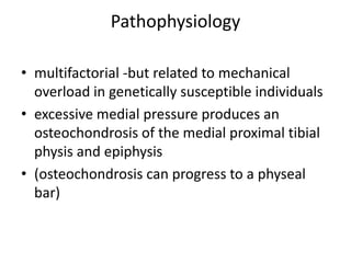 Pathophysiology
• multifactorial -but related to mechanical
overload in genetically susceptible individuals
• excessive medial pressure produces an
osteochondrosis of the medial proximal tibial
physis and epiphysis
• (osteochondrosis can progress to a physeal
bar)
 