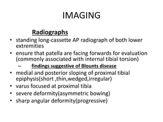 IMAGING
Radiographs
• standing long-cassette AP radiograph of both lower
extremities
• ensure that patella are facing forwards for evaluation
(commonly associated with internal tibial torsion)
– findings suggestive of Blounts disease
• medial and posterior sloping of proximal tibial
epiphysis(short ,thin,wedged,irregular)
• varus focused at proximal tibia
• severe deformity(asymmetric bowing)
• sharp angular deformity(progressive)
 