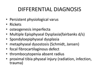 DIFFERENTIAL DIAGNOSIS
• Persistent physiological varus
• Rickets
• osteogenesis imperfecta
• Multiple Episphyseal Dysplasia(fairbanks d/s)
• Spondyloepiphyseal dysplasia
• metaphyseal dysostosis (Schmidt, Jansen)
• focal fibrocartilaginous defect
• thrombocytopenia absent radius
• proximal tibia physeal injury (radiation, infection,
trauma)
 