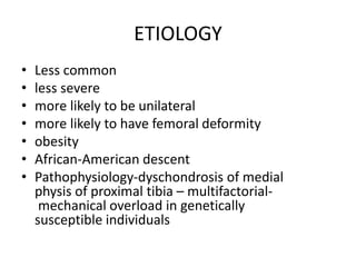 ETIOLOGY
• Less common
• less severe
• more likely to be unilateral
• more likely to have femoral deformity
• obesity
• African-American descent
• Pathophysiology-dyschondrosis of medial
physis of proximal tibia – multifactorial-
mechanical overload in genetically
susceptible individuals
 