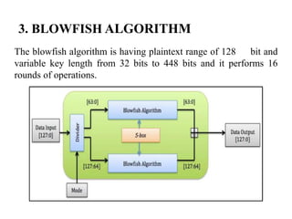 Blow fish final ppt | PPT