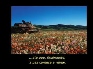 ...até que, finalmente, a paz comece a reinar. 