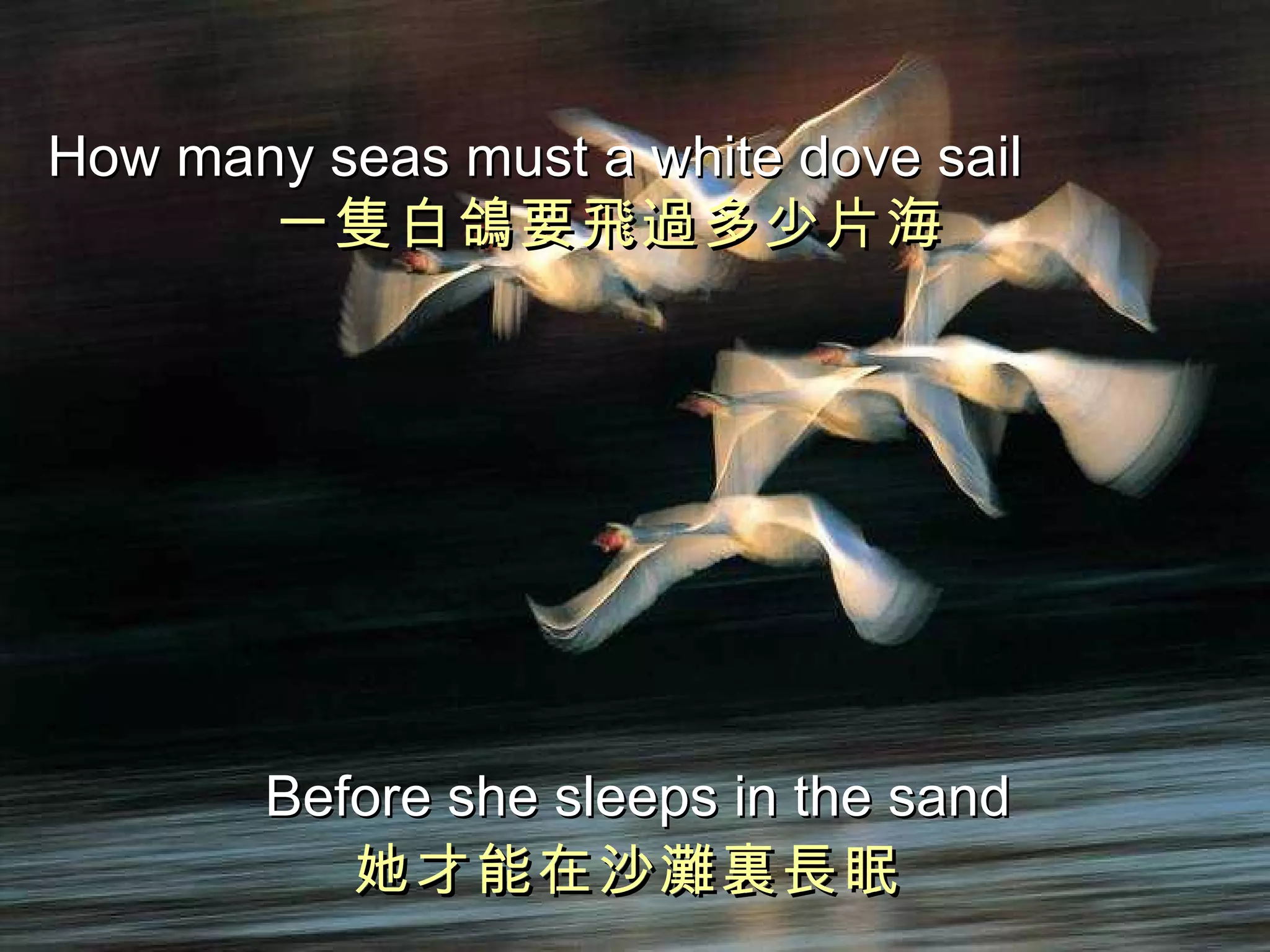 How many seas   must a white dove sail 一隻白鴿要飛過多少片海   Before she sleeps in the sand 她才能在沙灘裏長眠   