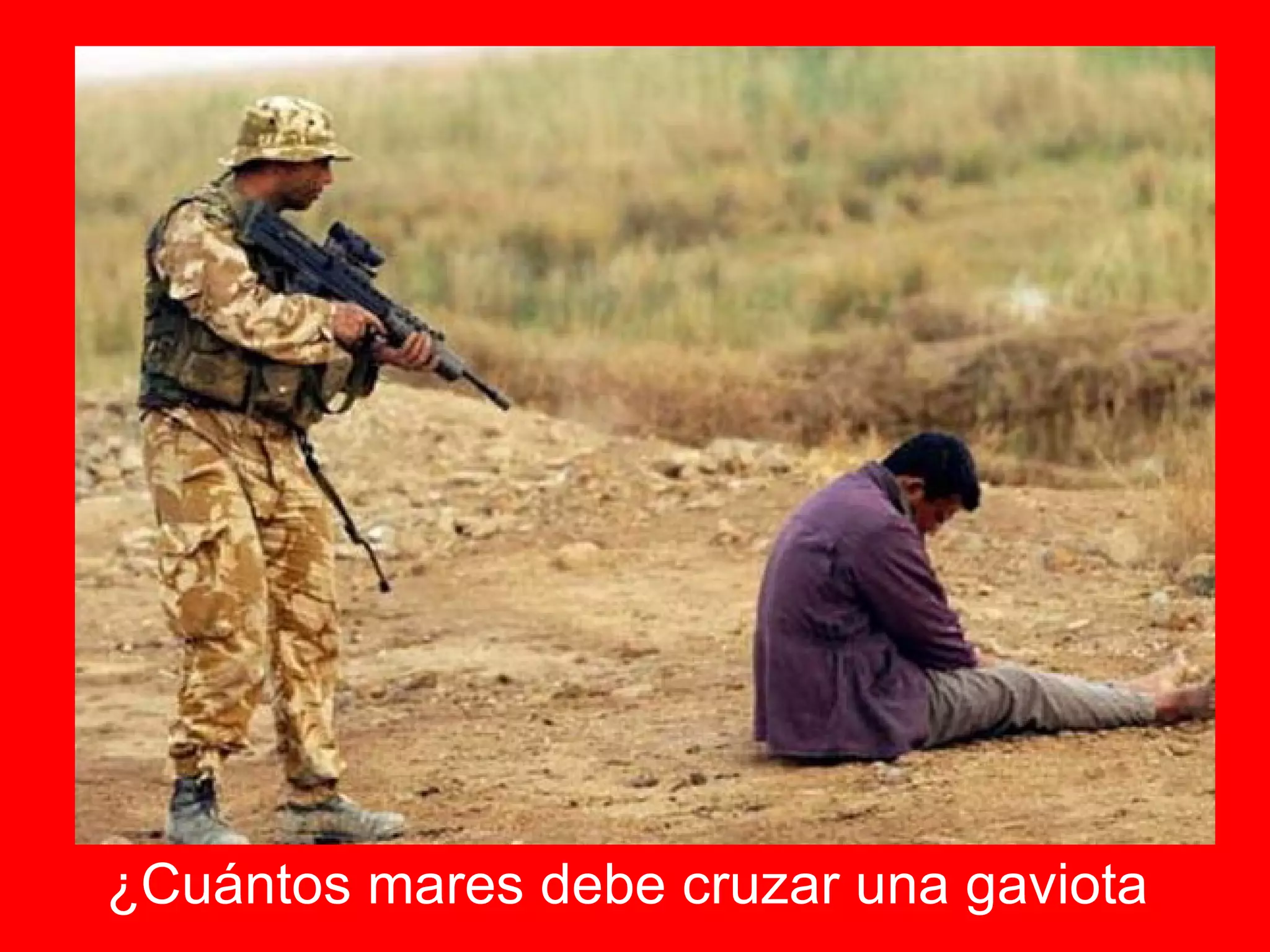 ¿Cuántos mares debe cruzar una gaviota   