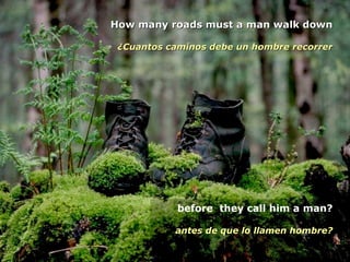 How many roads must a man walk downHow many roads must a man walk down
¿Cuantos caminos debe un hombre recorrer¿Cuantos caminos debe un hombre recorrer
before they call him a man?
antes de que lo llamen hombre?
 