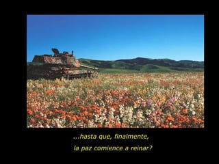 ...hasta que, finalmente,
la paz comience a reinar?
 
