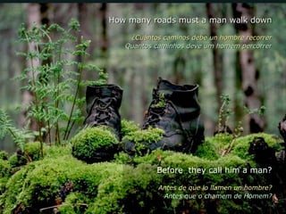 How many roads must a man walk downHow many roads must a man walk down
¿Cuántos caminos debe un hombre recorrer¿Cuántos caminos debe un hombre recorrer
Quantos caminhos deve um homem percorrerQuantos caminhos deve um homem percorrer
Before they call him a man?
Antes de que lo llamen un hombre?
Antes que o chamem de Homem?
 