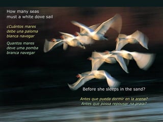 How many seasHow many seas
must a white dove sailmust a white dove sail
¿Cuántos mares¿Cuántos mares
debe una palomadebe una paloma
blanca navegarblanca navegar
Quantos maresQuantos mares
deve uma pombadeve uma pomba
branca navegarbranca navegar
Before she sleeps in the sand?Before she sleeps in the sand?
Antes que pueda dormir en la arena?Antes que pueda dormir en la arena?
Antes que possa repousar na praia?Antes que possa repousar na praia?
 