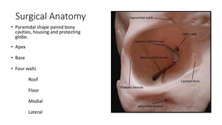 Surgical Anatomy
• Pyramidal shape paired bony
cavities, housing and protecting
globe.
• Apex
• Base
• Four walls
Roof
Floor
Medial
Lateral
 