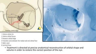 • Treatment is directed at precise anatomical reconstruction of orbital shape and
volume in order to restore the correct position of the eye.
 
