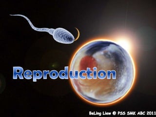Reproduction BeLingLiew @ PSS SMK ABC 2011 