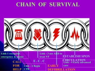 Bls | PPT