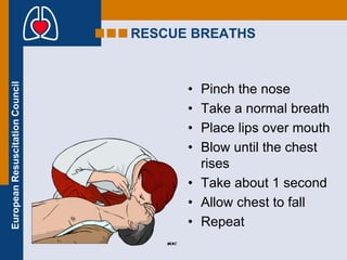Basic Life Support Definition BASIC LIFE SUPPORT | PPT