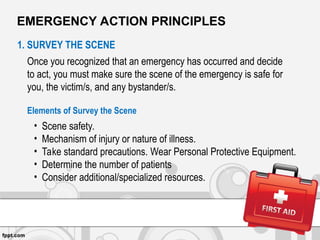 BASIC LIFE SUPPORT POWERPOINT PRESENTATION | PPT