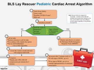 2 Rescuer Prediactric Algorithm BASIC LIFE SUPPORT POWERPOINT PRESENTATION | PPT
