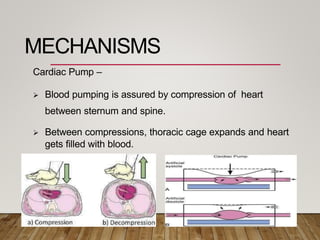 Basic Life Support (BLS) | PDF