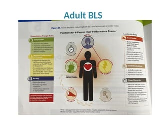 Adult BLS
 