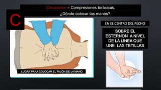 Circulación – Compresiones torácicas.
¿Dónde colocar las manos?
LUGAR PARA COLOCAR EL TALÓN DE LA MANO
SOBRE EL
ESTERNON A NIVEL
DE LA LINEA QUE
UNE LAS TETILLAS
C EN EL CENTRO DEL PECHO
 