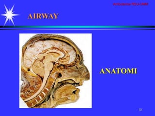 Ambulance RSU-UMM
10
AIRWAY
ANATOMI
 