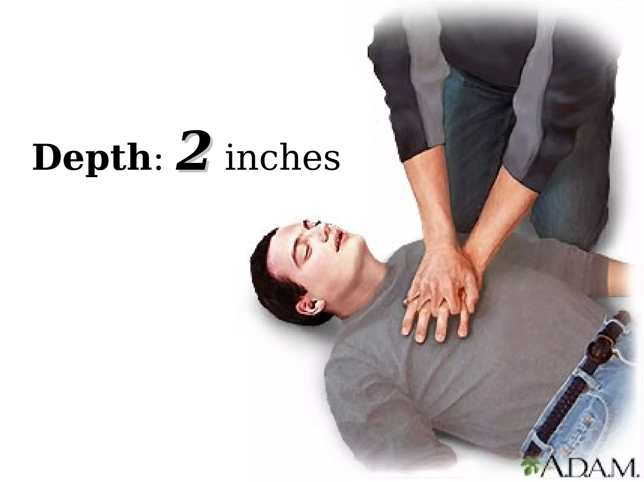 Depth: 22 inches