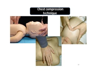 BLS Pahang Eng | PDF