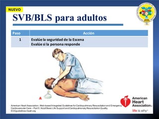 SVB/BLS para adultos
Paso	 Acción
1 Evalúe la	seguridad de	la	Escena
Evalúe si la	persona	responde
NUEVO
American Heart Association. Web-basedIntegrated Guidelines for Cardiopulmnary Resuscitationand Emergency
Cardiovascular Care – Part 5: Adult Basic Life Support andCardiopulmonary ResuscitationQuality.
ECCguidelines.heart.org.
 