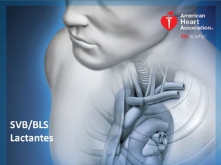 1
SVB/BLS	
Lactantes
 